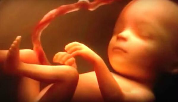 What does a Baby Experience in the Womb?