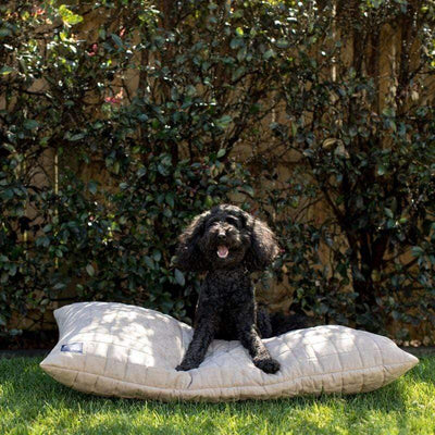 Brolly Sheets Buddy Dog Cover Faux Suade